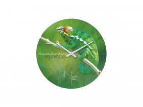 Часы настенные Nicole Time NT503 в Тикси - tiksi.mebel-nsk.ru | фото